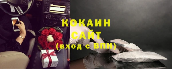 шишки Баксан