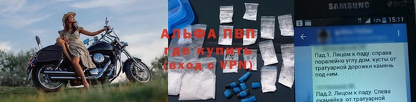 шишки Баксан