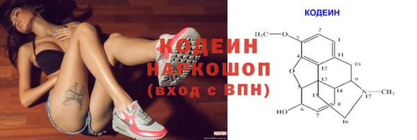 шишки Баксан