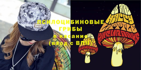 ГАЛЛЮЦИНОГЕННЫЕ ГРИБЫ Балабаново