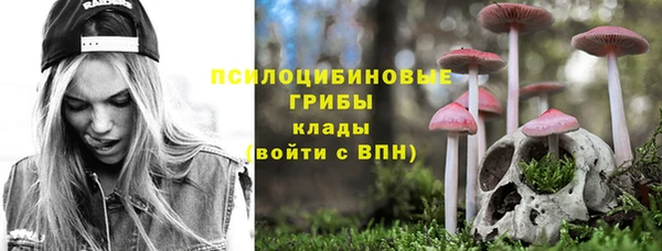 шишки Баксан