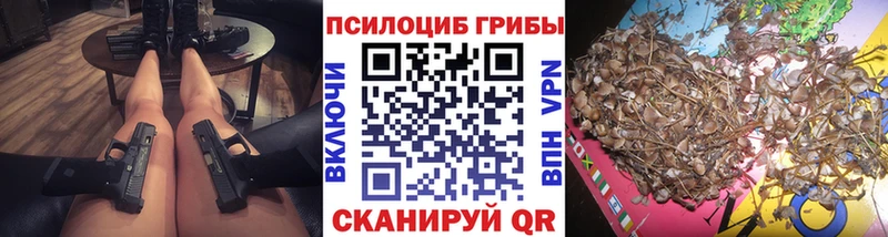 купить закладку  Обь  блэк спрут маркетплейс  Псилоцибиновые грибы Magic Shrooms 